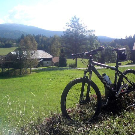 Ferienhaus Mit Seeblick Waldkirchen Zewnętrze zdjęcie