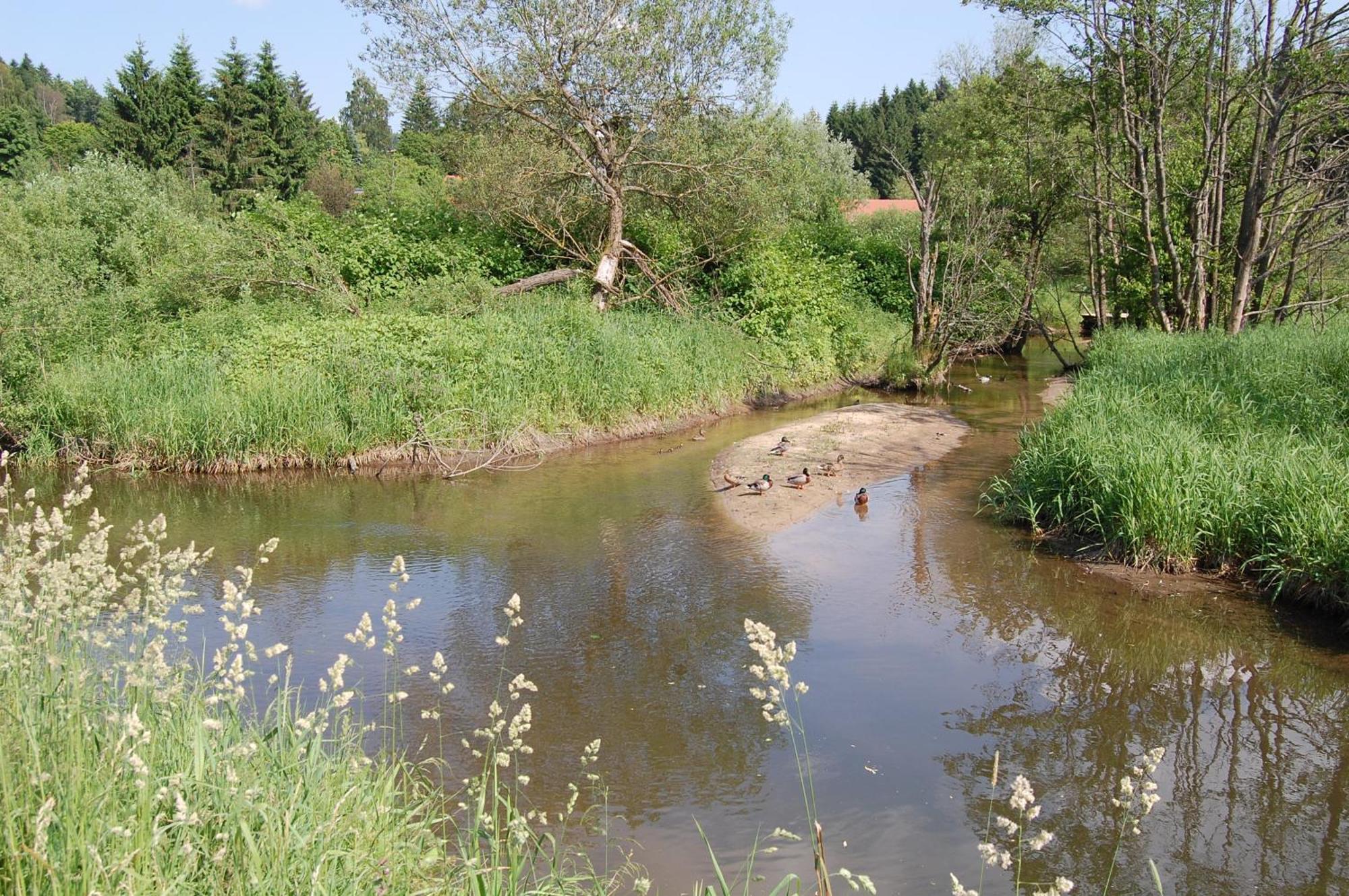 Ferienhaus Mit Seeblick Waldkirchen Zewnętrze zdjęcie